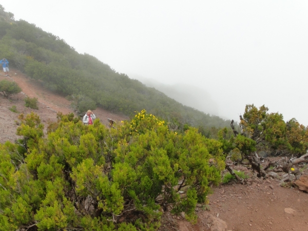 Zdjęcie z Portugalii - Trekking po szczytach Madery