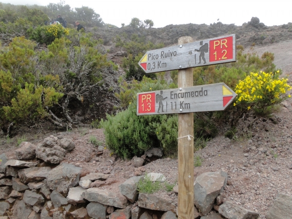 Zdjęcie z Portugalii - Trekking po szczytach Madery