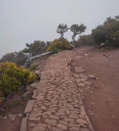 Zdjęcie z Portugalii - Trekking po szczytach Madery
