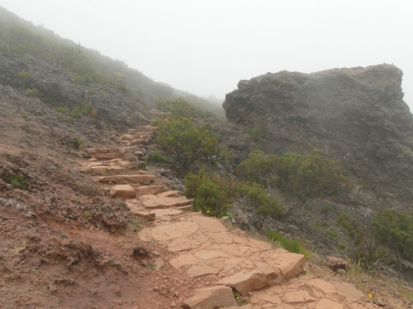 Zdjęcie z Portugalii - Trekking po szczytach Madery