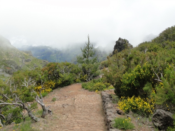 Zdjęcie z Portugalii - Trekking po szczytach Madery