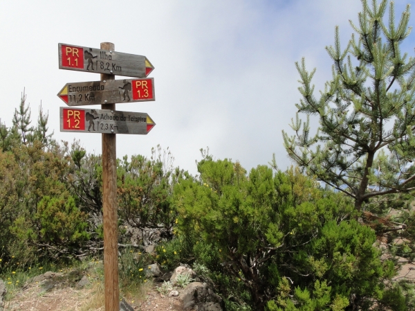 Zdjęcie z Portugalii - Trekking po szczytach Madery