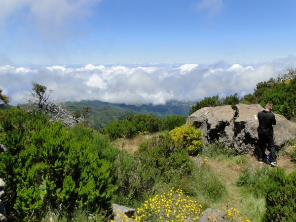 Zdjęcie z Portugalii - Trekking po szczytach Madery