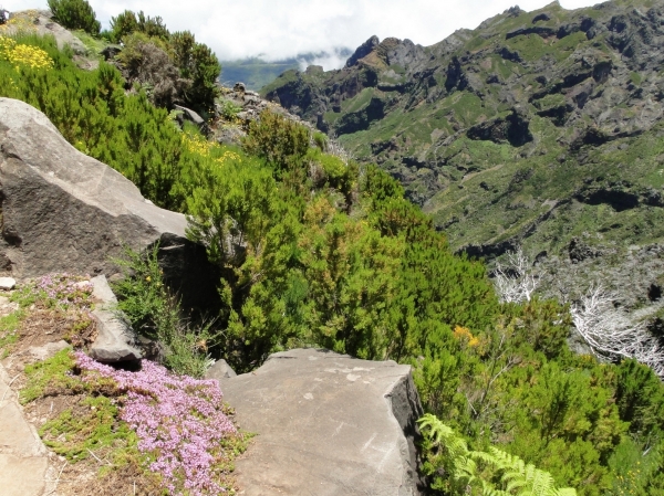 Zdjęcie z Portugalii - Trekking po szczytach Madery