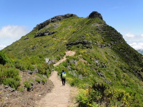 Zdjęcie z Portugalii - Trekking po szczytach Madery