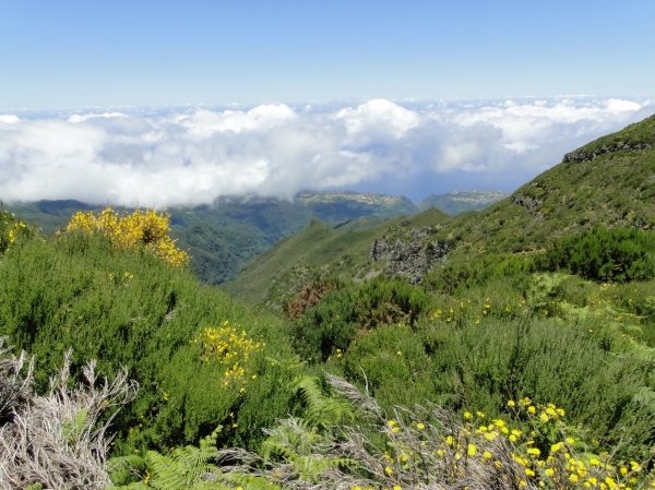 Zdjęcie z Portugalii - Trekking po szczytach Madery