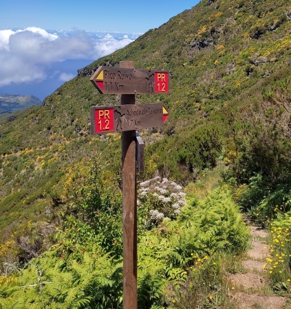 Zdjęcie z Portugalii - Trekking po szczytach Madery