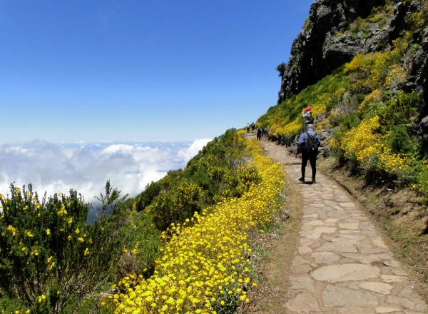 Zdjęcie z Portugalii - Trekking po szczytach Madery