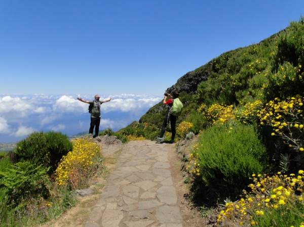 Zdjęcie z Portugalii - Trekking po szczytach Madery
