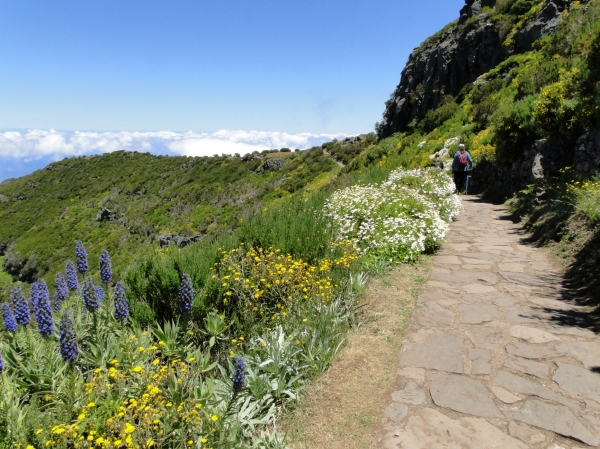 Zdjęcie z Portugalii - Trekking po szczytach Madery
