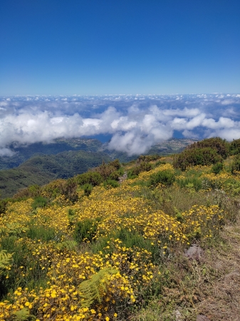 Zdjęcie z Portugalii - Trekking po szczytach Madery