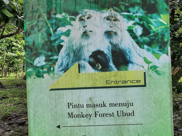 Zdjęcie z Indonezji - 