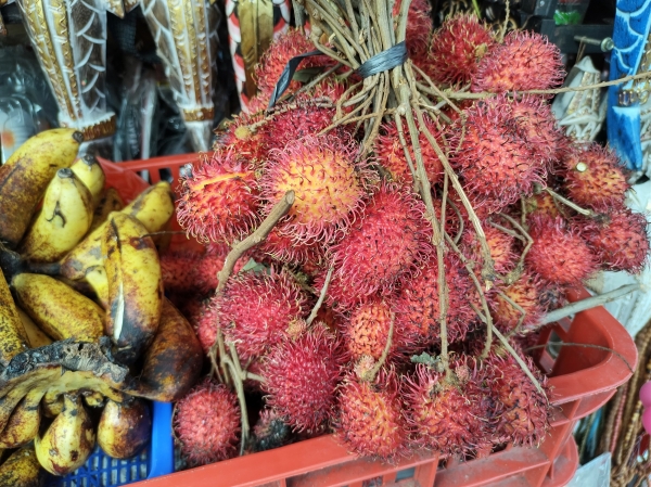 Zdjęcie z Indonezji - 
