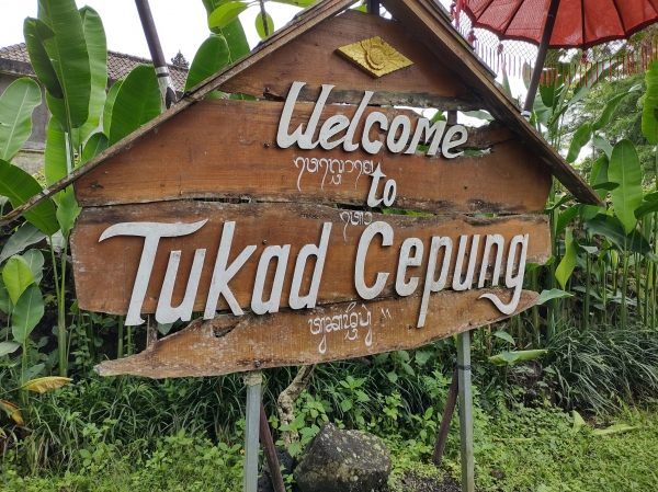 Zdjęcie z Indonezji - 