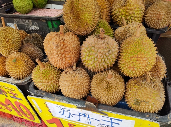 Zdjęcie z Indonezji - 