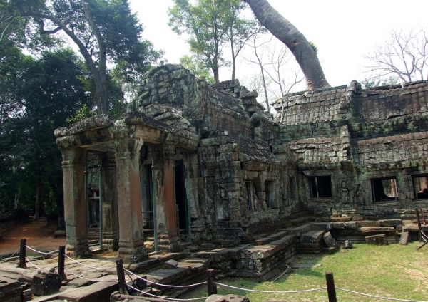 Zdjęcie z Tajlandii - Ta Prohm