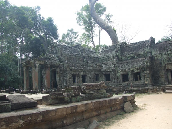 Zdjęcie z Tajlandii - Ta Prohm