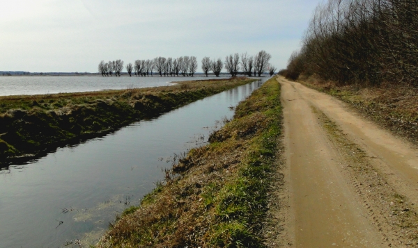 Zdjęcie z Polski - Bagno Wizna