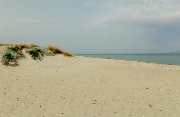 Zdjęcie z Grecji - Plaża między Tigaki i Marmari