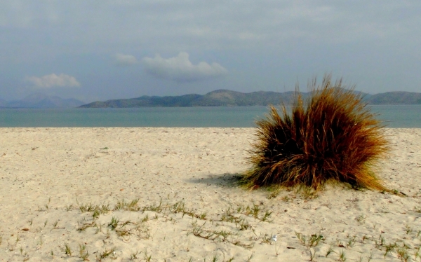 Zdjęcie z Grecji - Plaża między Tigaki i Marmari