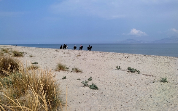 Zdjęcie z Grecji - Plaża między Tigaki i Marmari