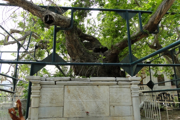 Zdjęcie z Grecji - Miasto Kos