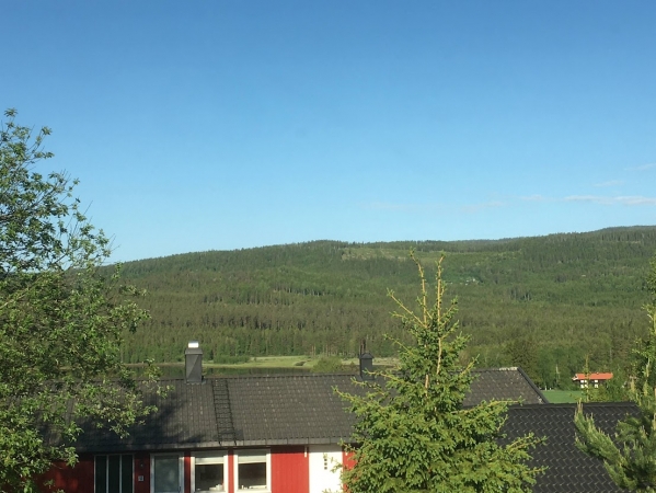 Zdjęcie z Norwegii - widok z okna