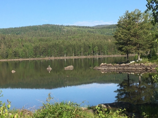 Zdjęcie z Norwegii - Harestua