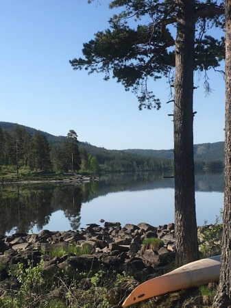 Zdjęcie z Norwegii - Harestua