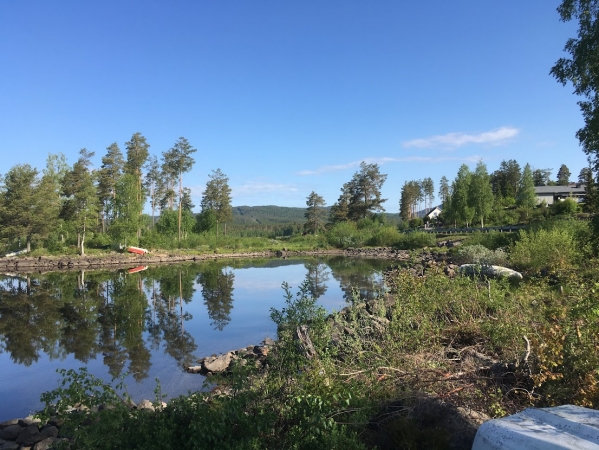 Zdjęcie z Norwegii - Harestua