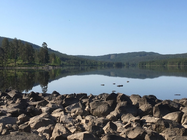 Zdjęcie z Norwegii - Harestua