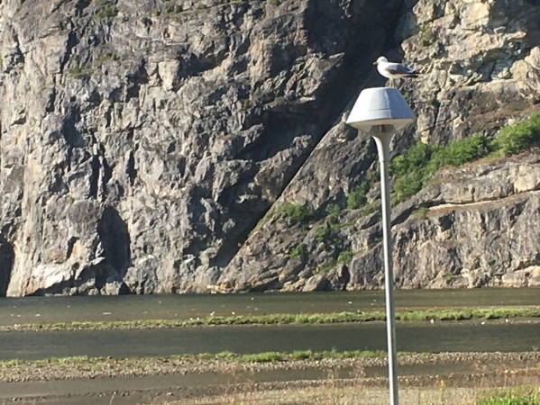 Zdjęcie z Norwegii - Sognefjord
