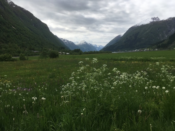 Zdjęcie z Norwegii - 