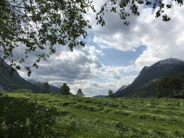 Zdjęcie z Norwegii - 