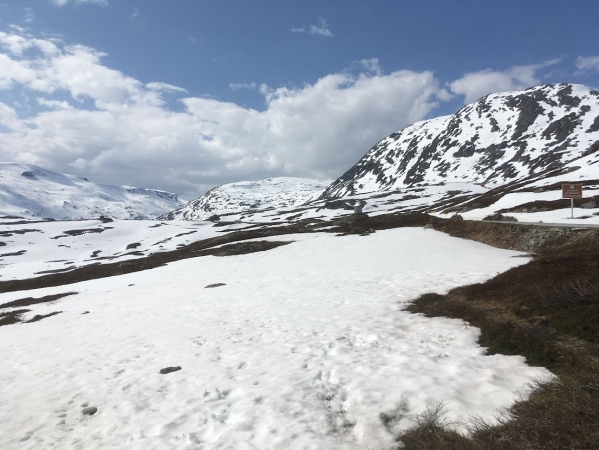 Zdjęcie z Norwegii - 