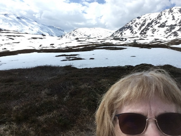 Zdjęcie z Norwegii - Czerwcowa bajka