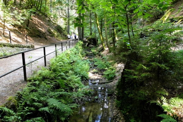 Zdjęcie z Czech - Saksońska Szwajcaria
