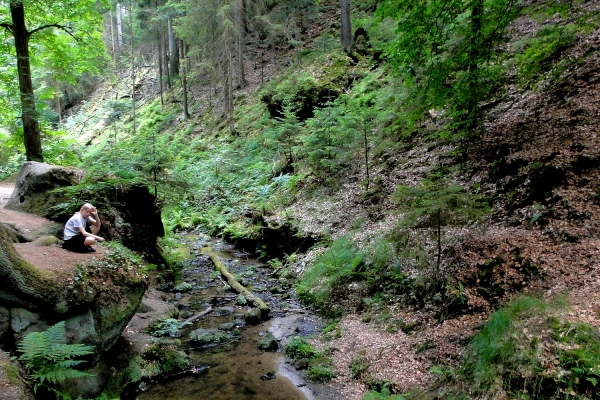 Zdjęcie z Czech - Saksońska Szwajcaria