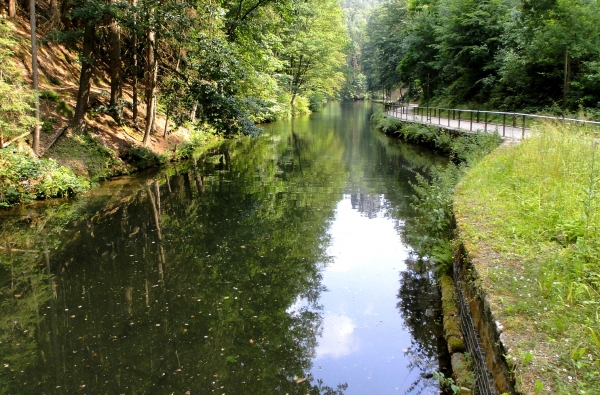 Zdjęcie z Czech - Saksońska Szwajcaria