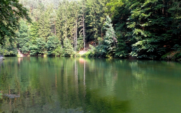 Zdjęcie z Czech - Saksońska Szwajcaria