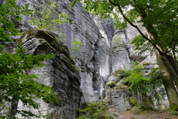 Zdjęcie z Czech - Saksońska Szwajcaria