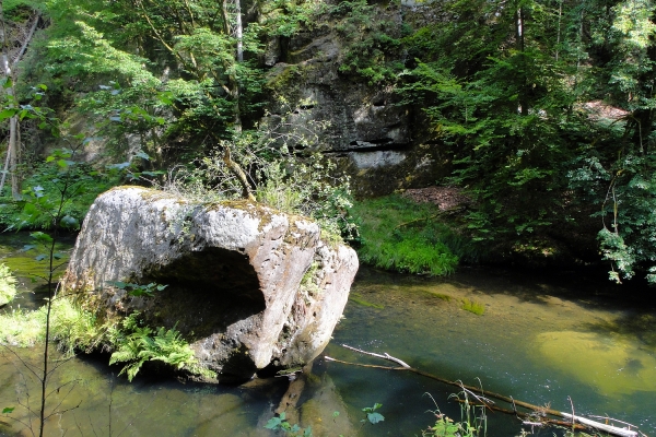 Zdjęcie z Czech - Czeska Szwajcaria