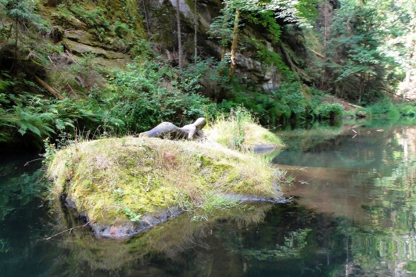 Zdjęcie z Czech - Czeska Szwajcaria