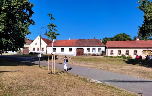 Zdjęcie z Czech - Holaszowice