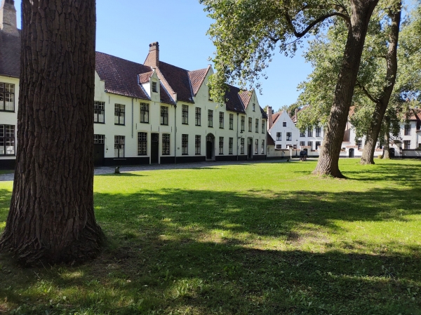 Zdjęcie z Belgii - 