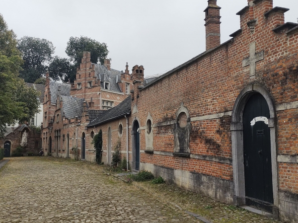 Zdjęcie z Belgii - 