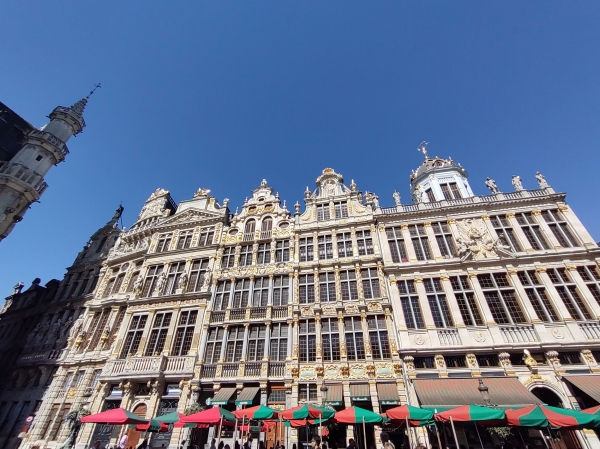 Zdjęcie z Belgii - 