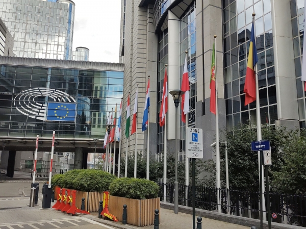 Zdjęcie z Belgii - 