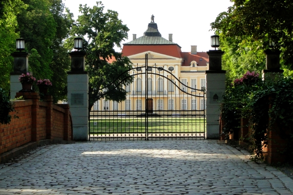 Zdjęcie z Polski - Rogalin
