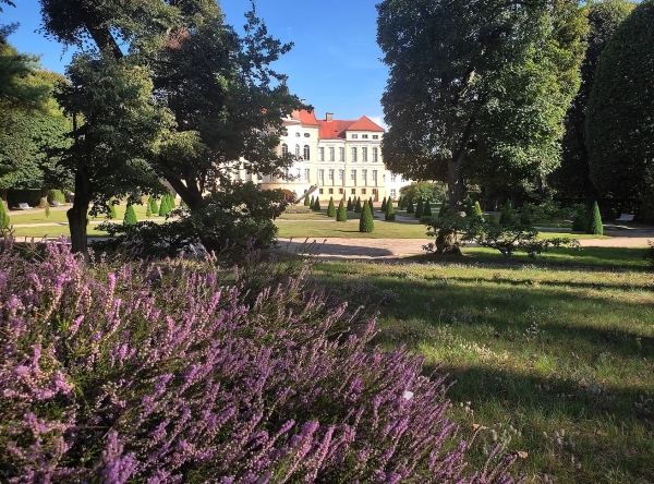 Zdjęcie z Polski - Pałac w Rogalinie